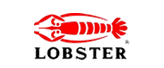 LOBSTER虾牌铆接工具:铆钉枪,铆螺母枪