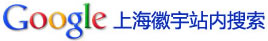 上海徽宇电子科技有限公司站内搜索器